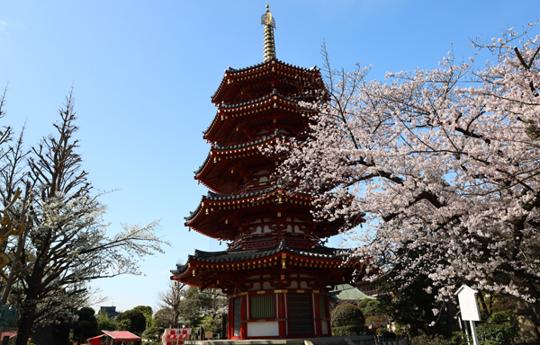 Spring – Kawasakidaishi Heikenji Temple (英語版動画)